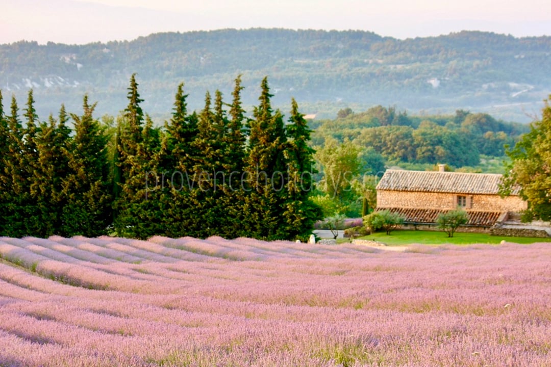 Herrliches Bauernhaus mit Blick auf die Lavendelfelder, in den Höhen von Gordes