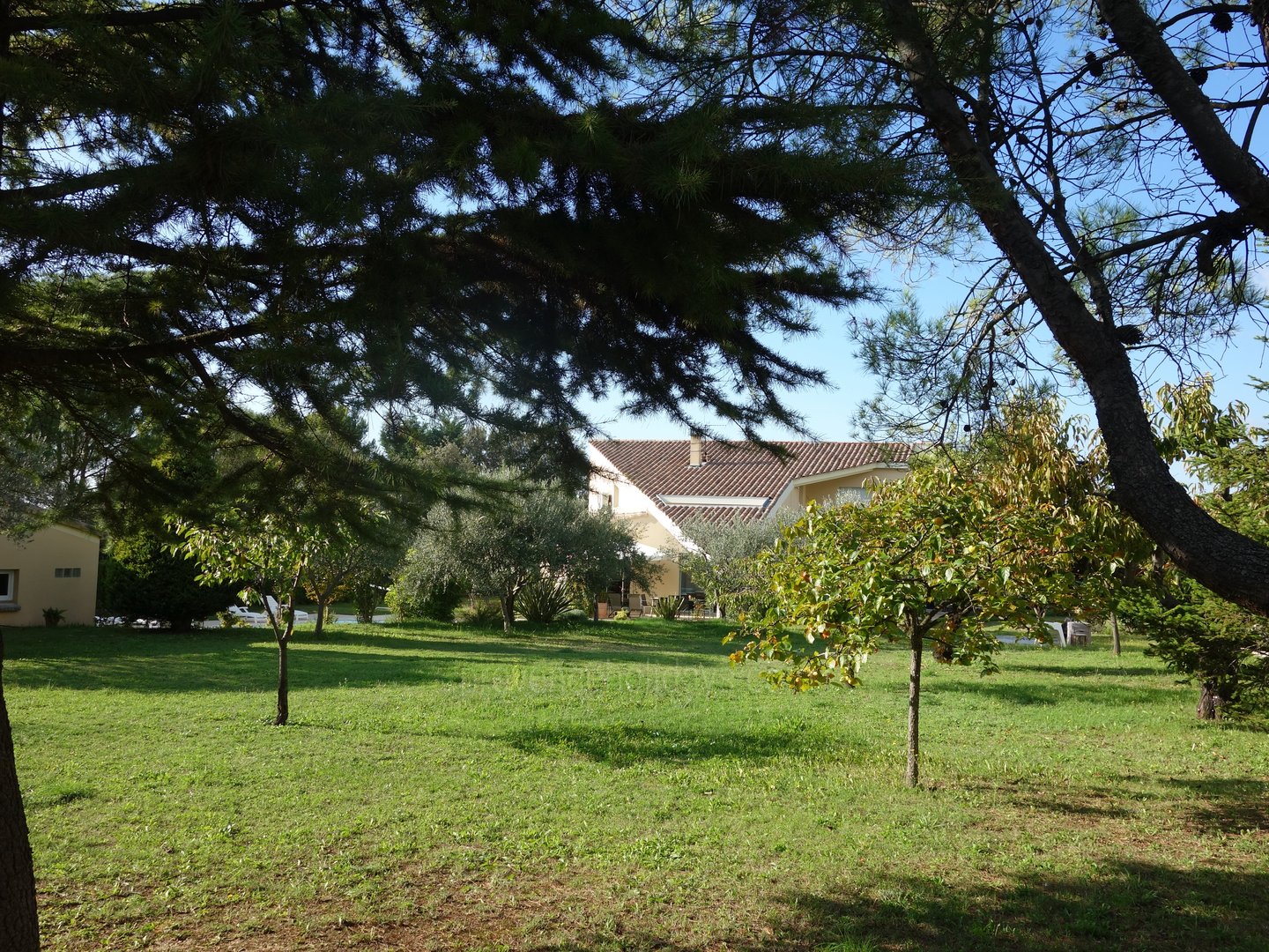 6 - Villa de la Roque: Villa: Exterior