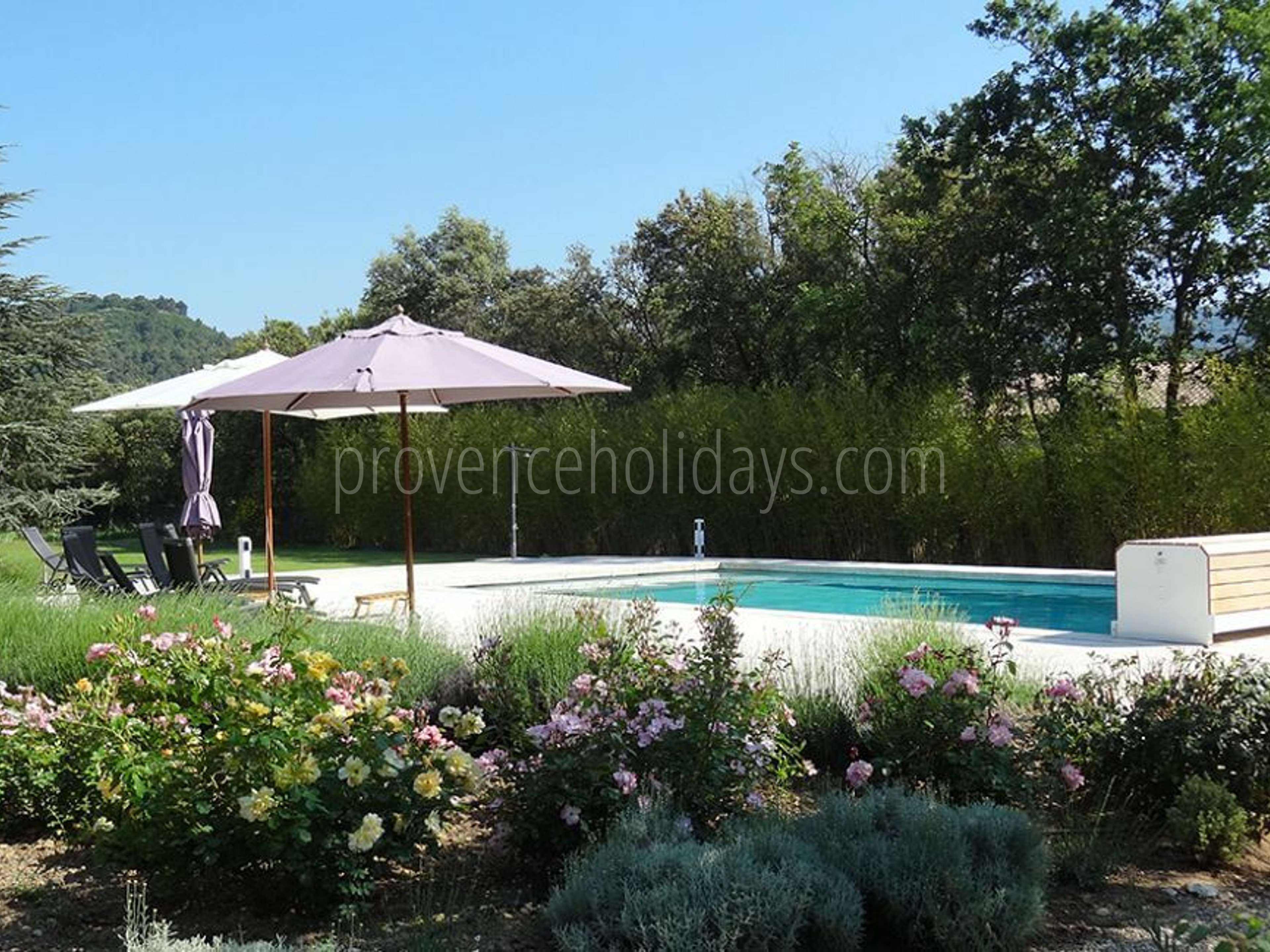 4 - Le Mas aux Gargouilles: Villa: Pool
