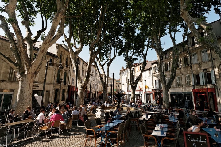 Rondleidingen met gids in Avignon