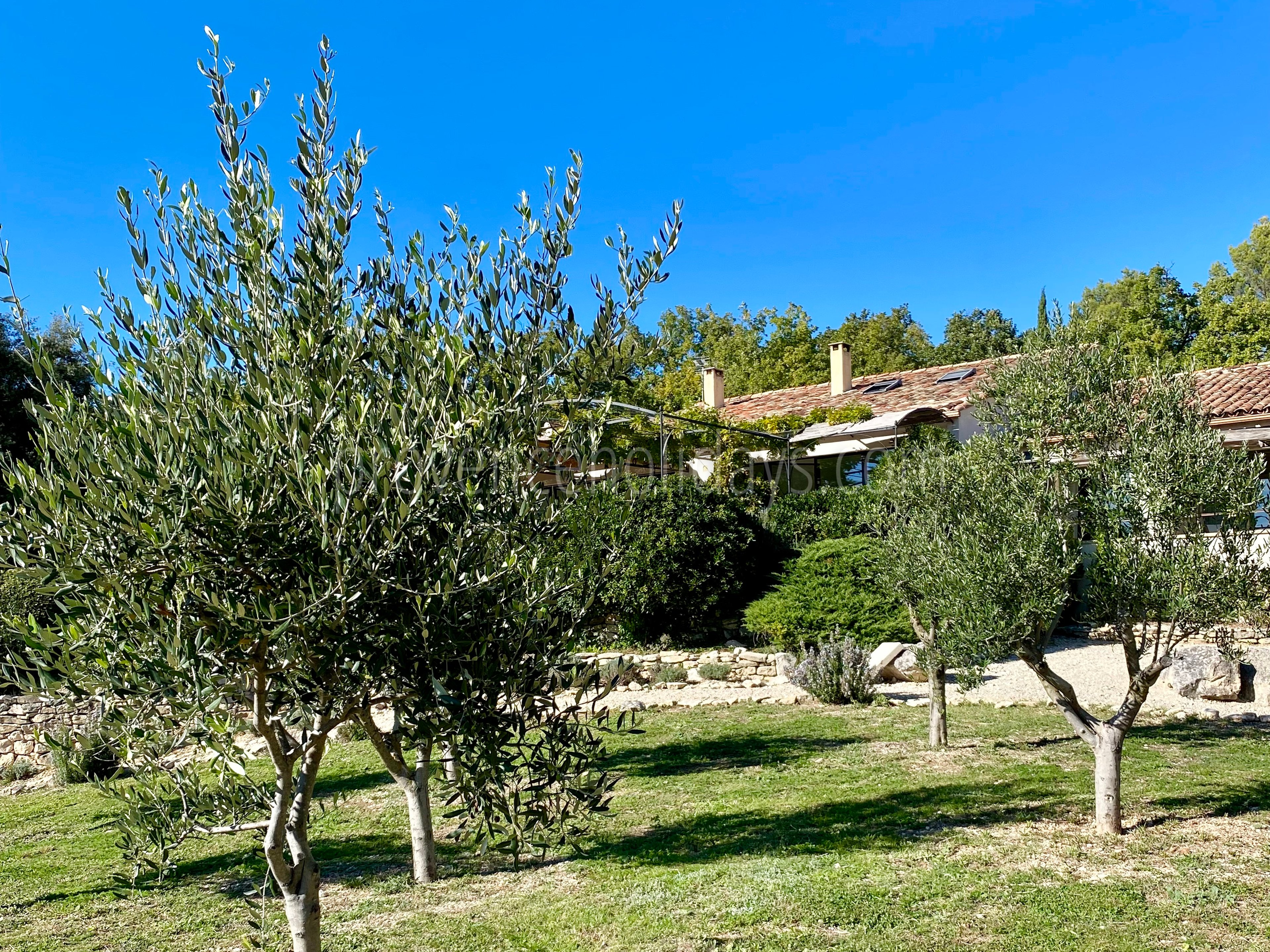 77 - Mas des Collines du Luberon: Villa: Exterior