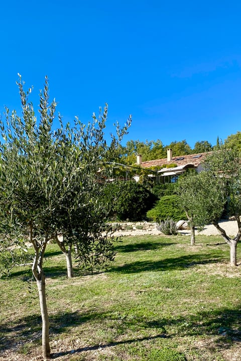 77 - Mas des Collines du Luberon: Villa: Exterior