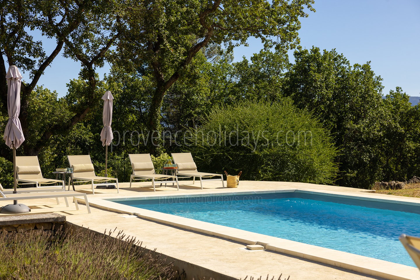 30 - Mas des Firmins: Villa: Pool