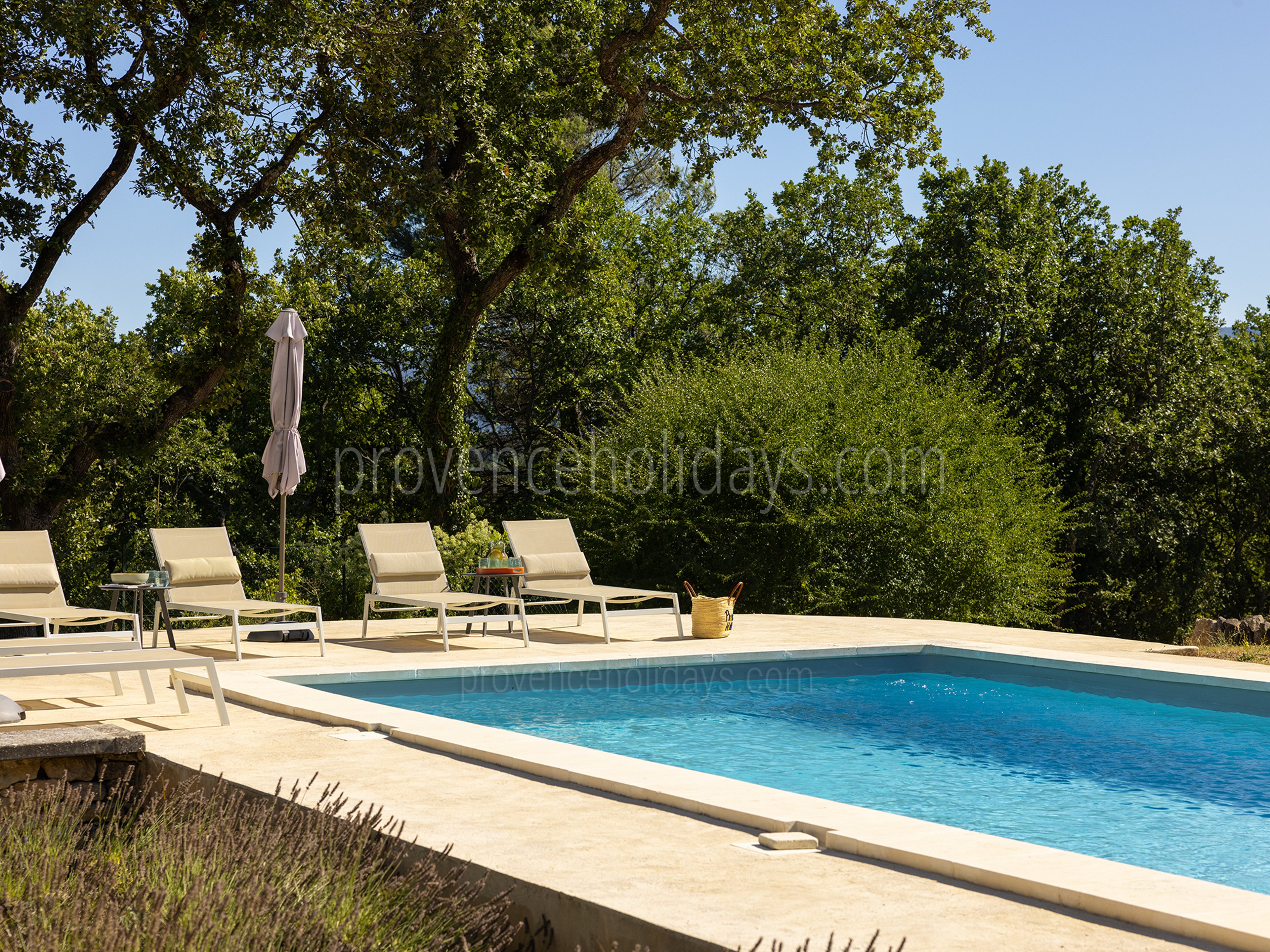 30 - Mas des Firmins: Villa: Pool