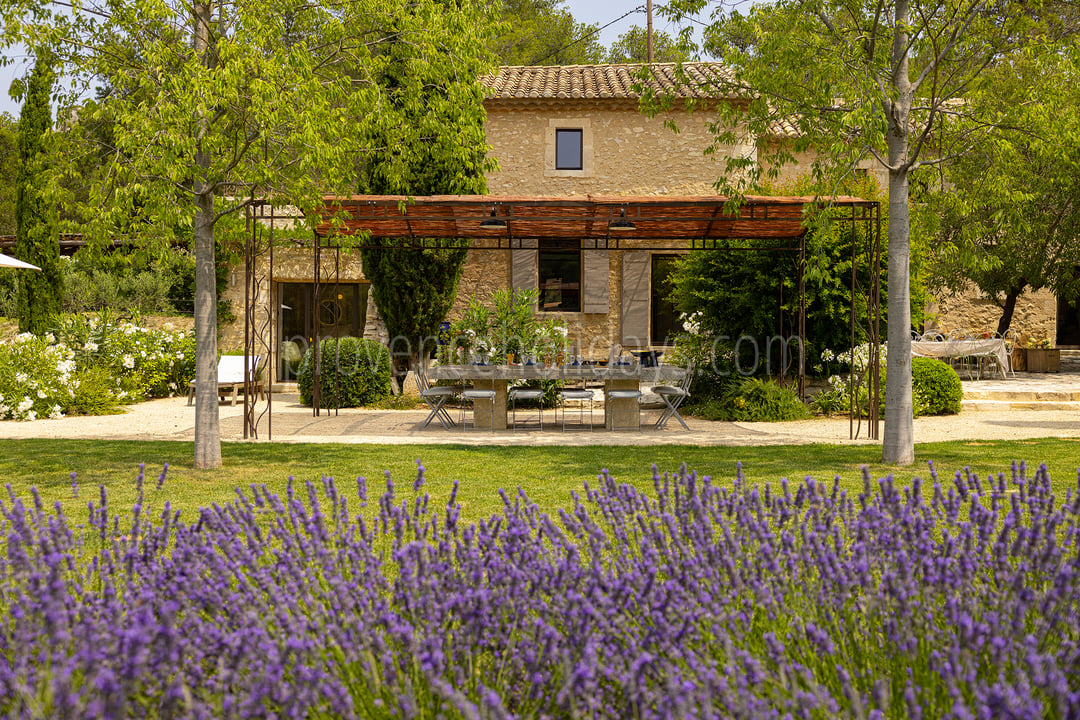 46 - Le Mas Secret: Villa: Exterior