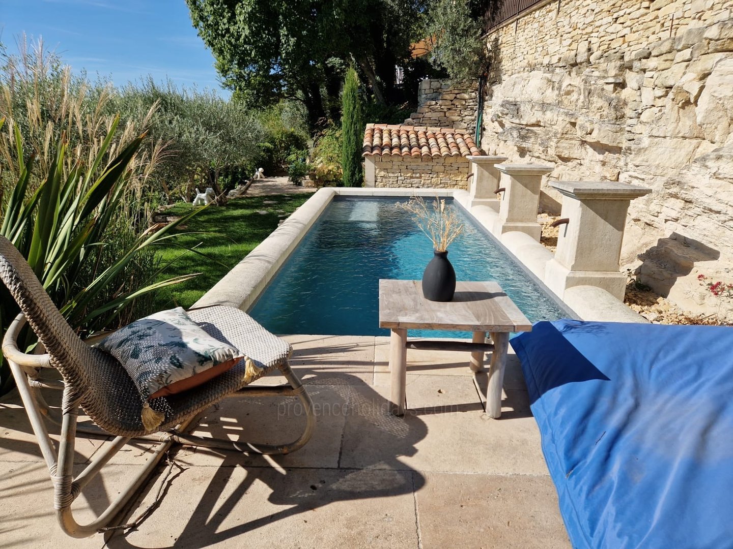 1 - La Roque sur Pernes: Villa: Pool - Swimming Pool