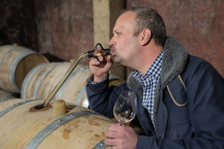 Vignoble Chasson