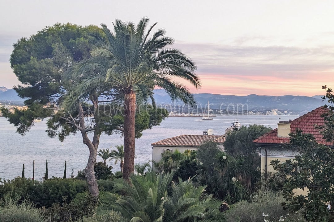 19 - Villa Cap d\'Antibes: Villa: Exterior