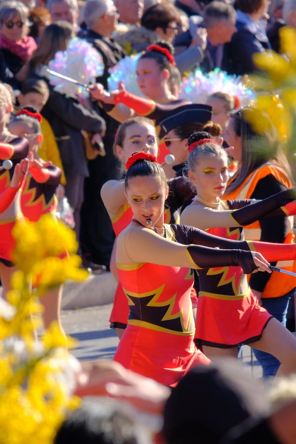 Fête du Mimosa