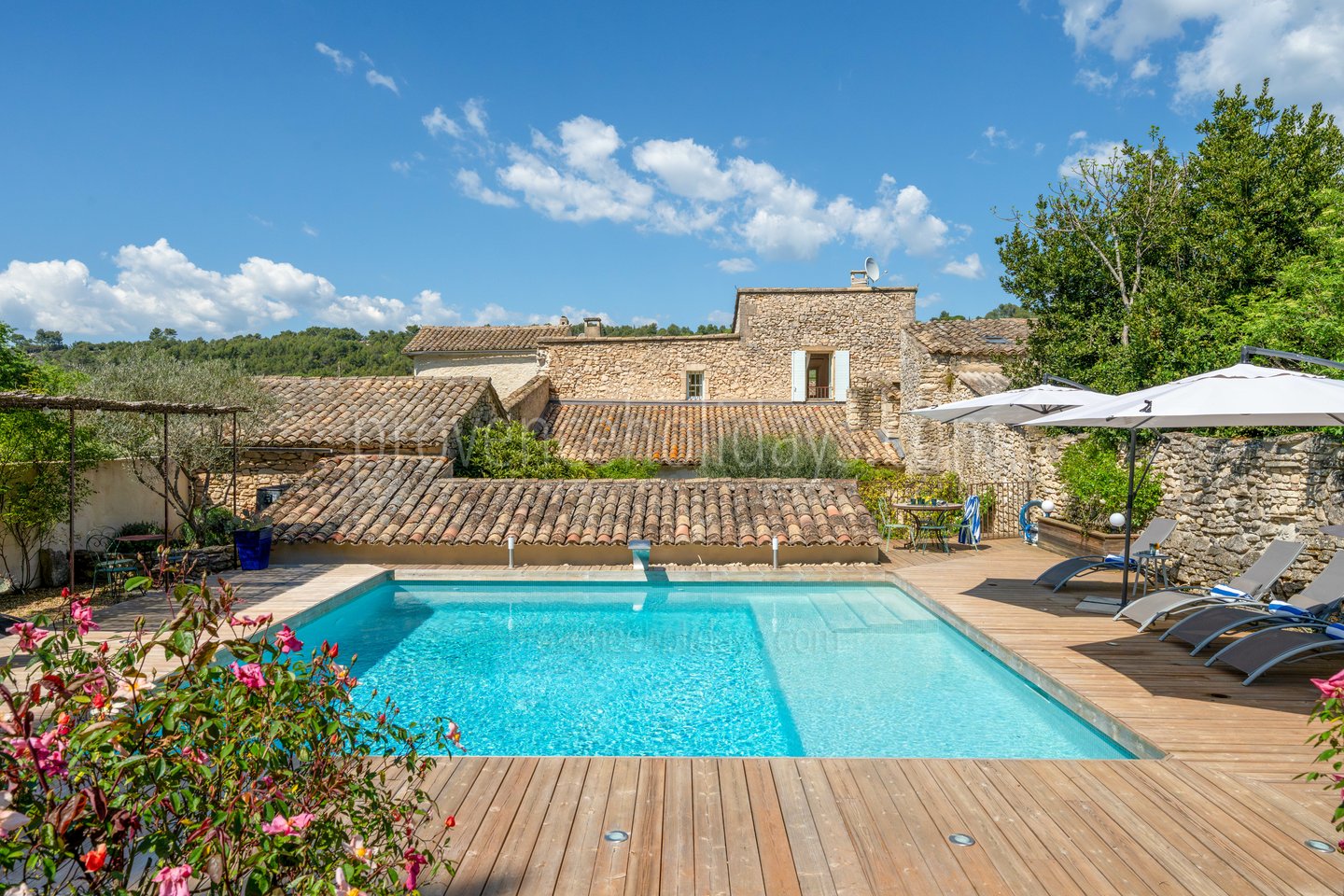 1 - Mas Lou Miradou: Villa: Pool