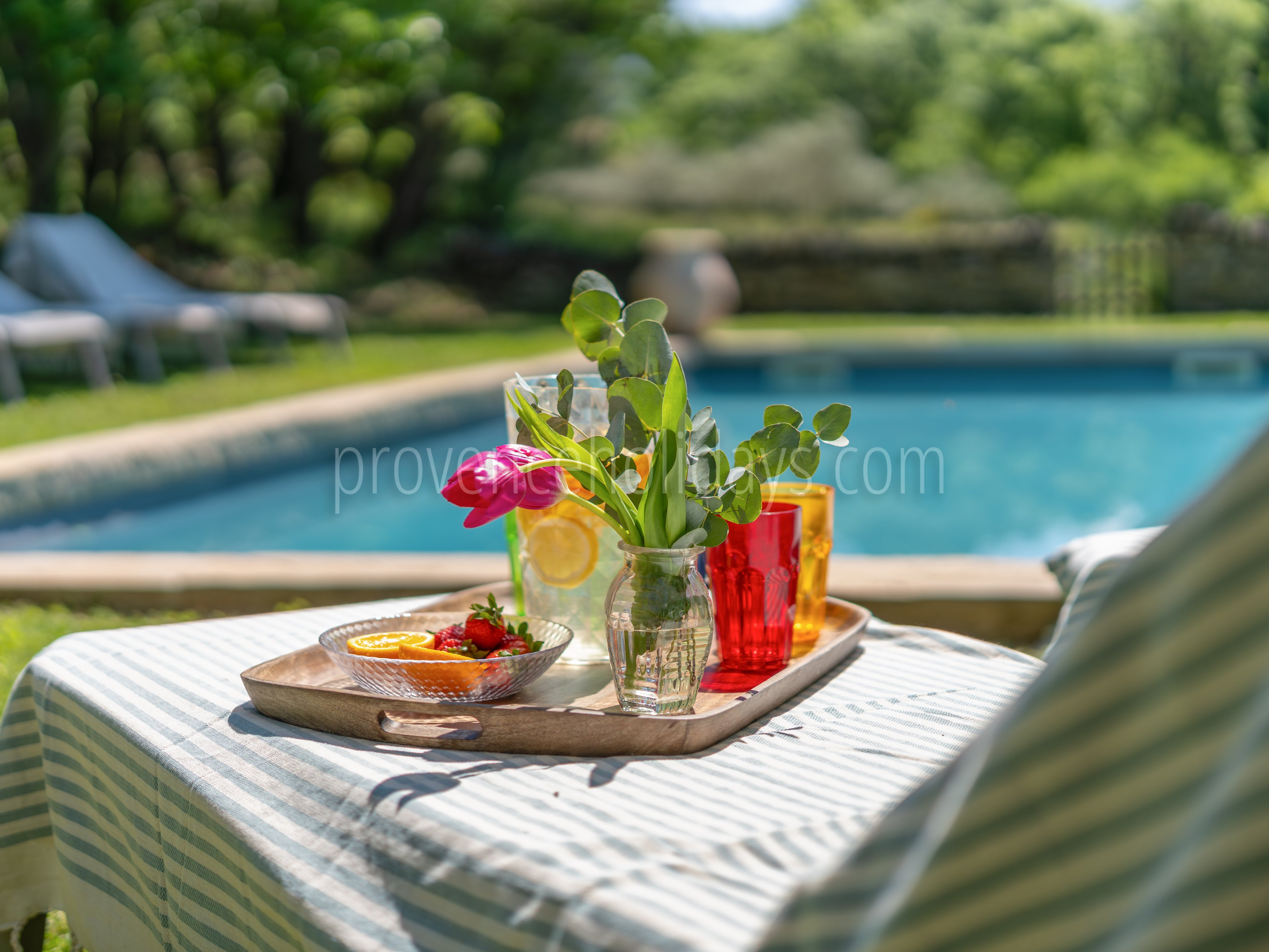 34 - Les Oliviers: Villa: Pool