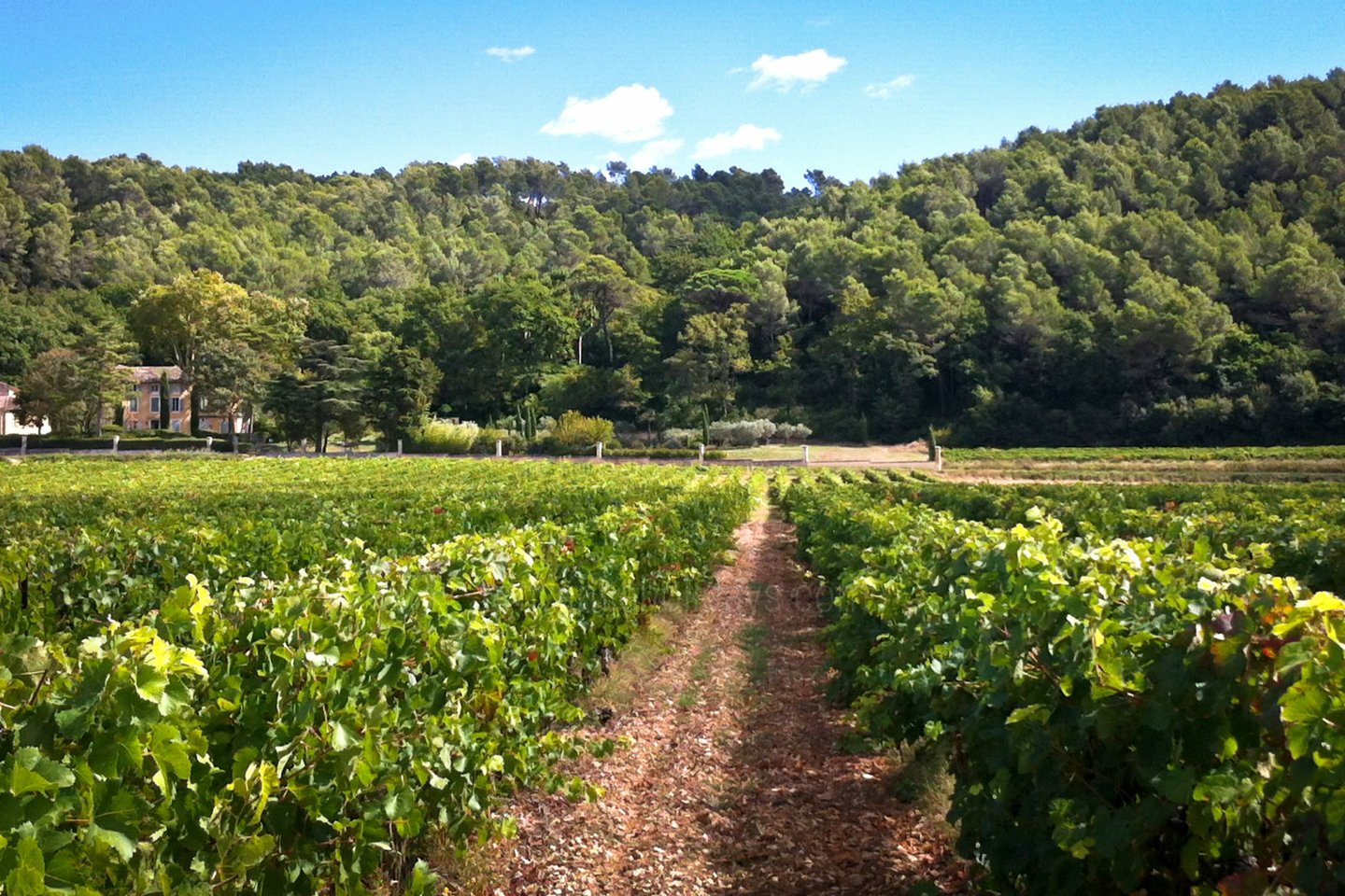 10 - Bastide Valentine: Villa: Exterior