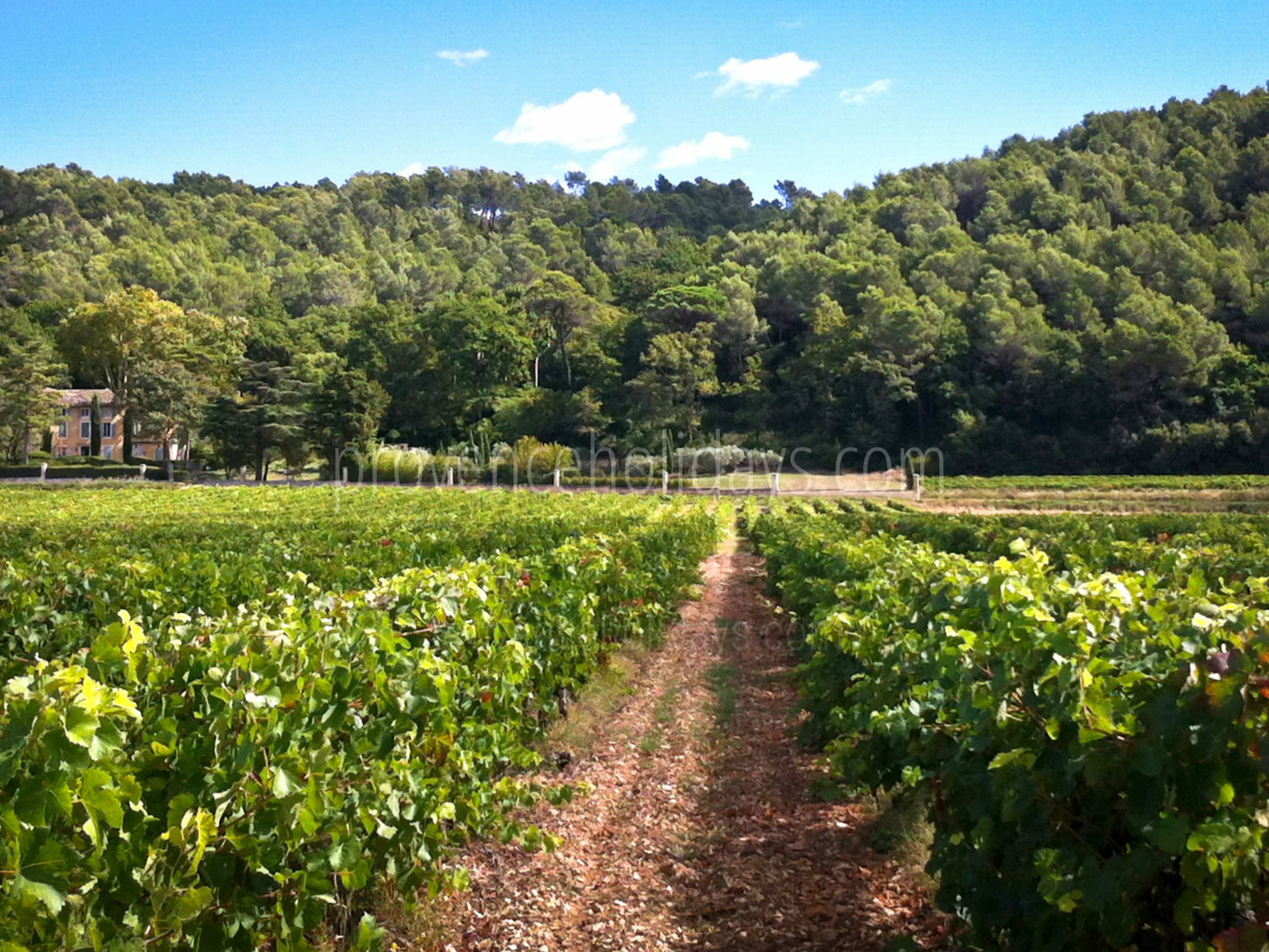 11 - Bastide Valentine: Villa: Exterior