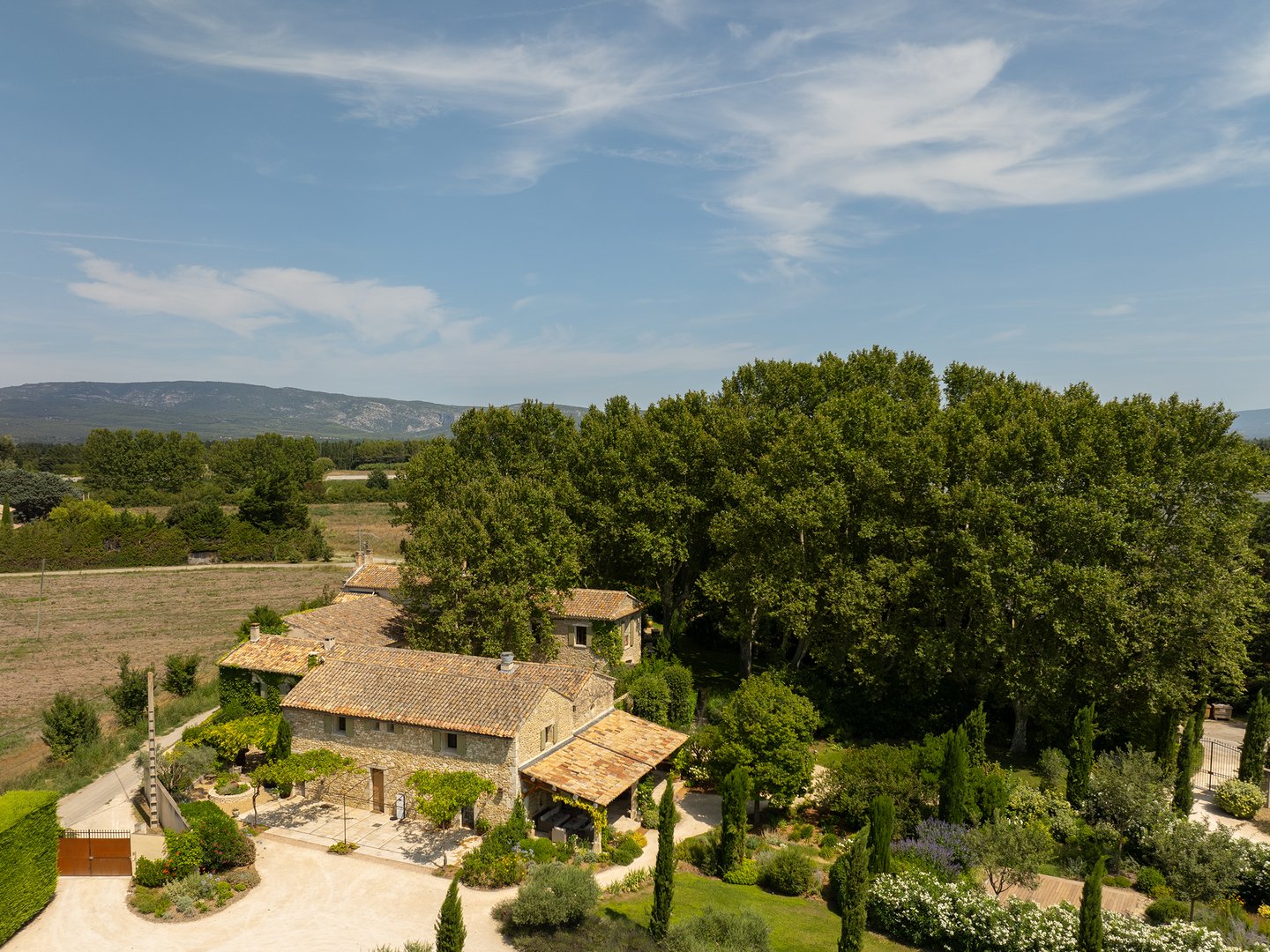 55 - Bastide Provençale: Villa: Exterior