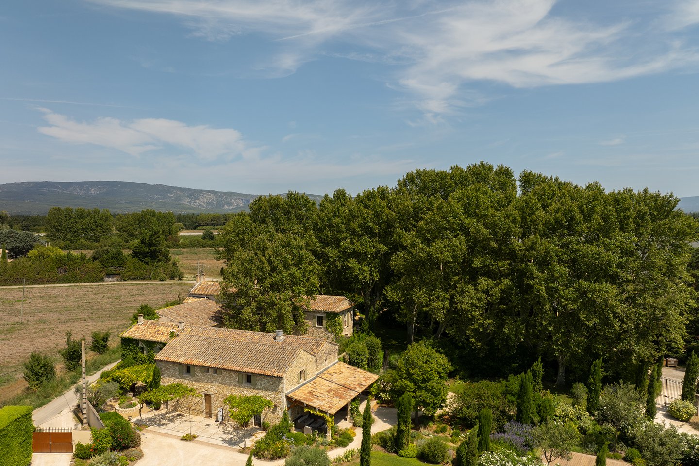 55 - Bastide Provençale: Villa: Exterior