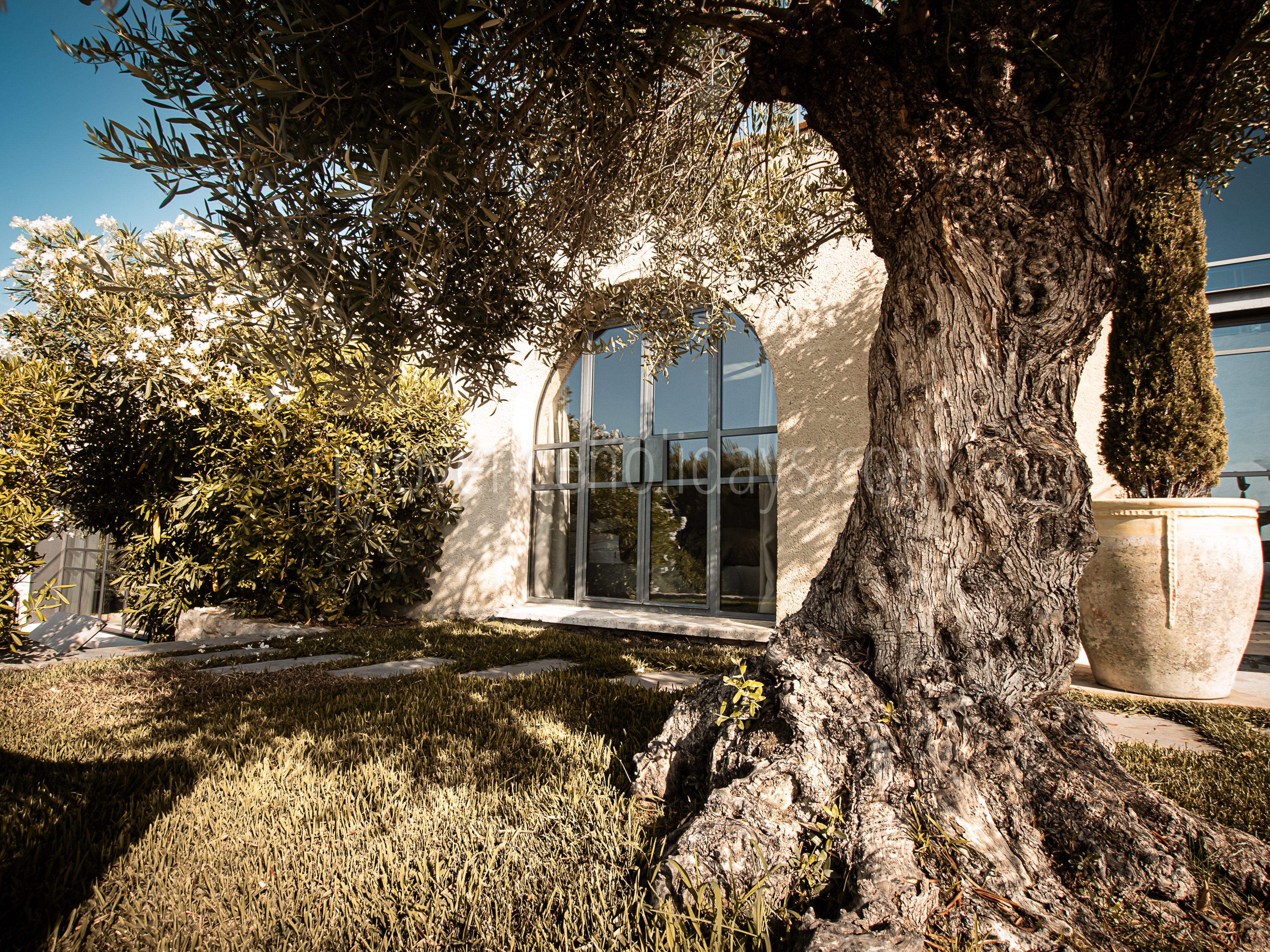 29 - Villa Paradis: Villa: Exterior