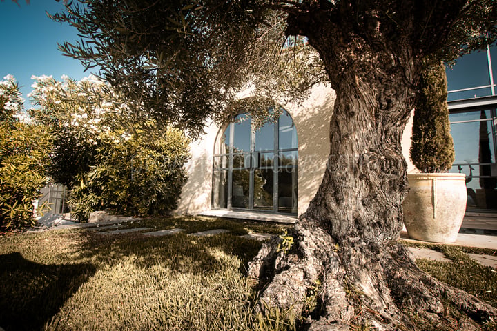 29 - Villa Paradis: Villa: Exterior