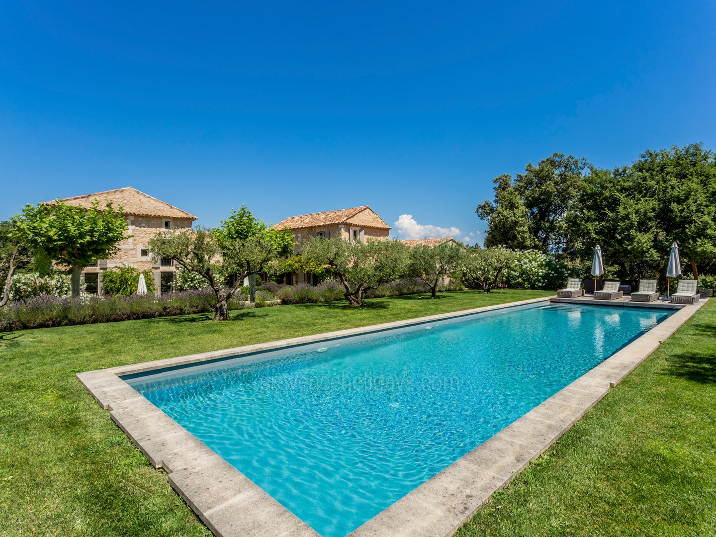 2 - Mas Saint-Julien: Villa: Pool