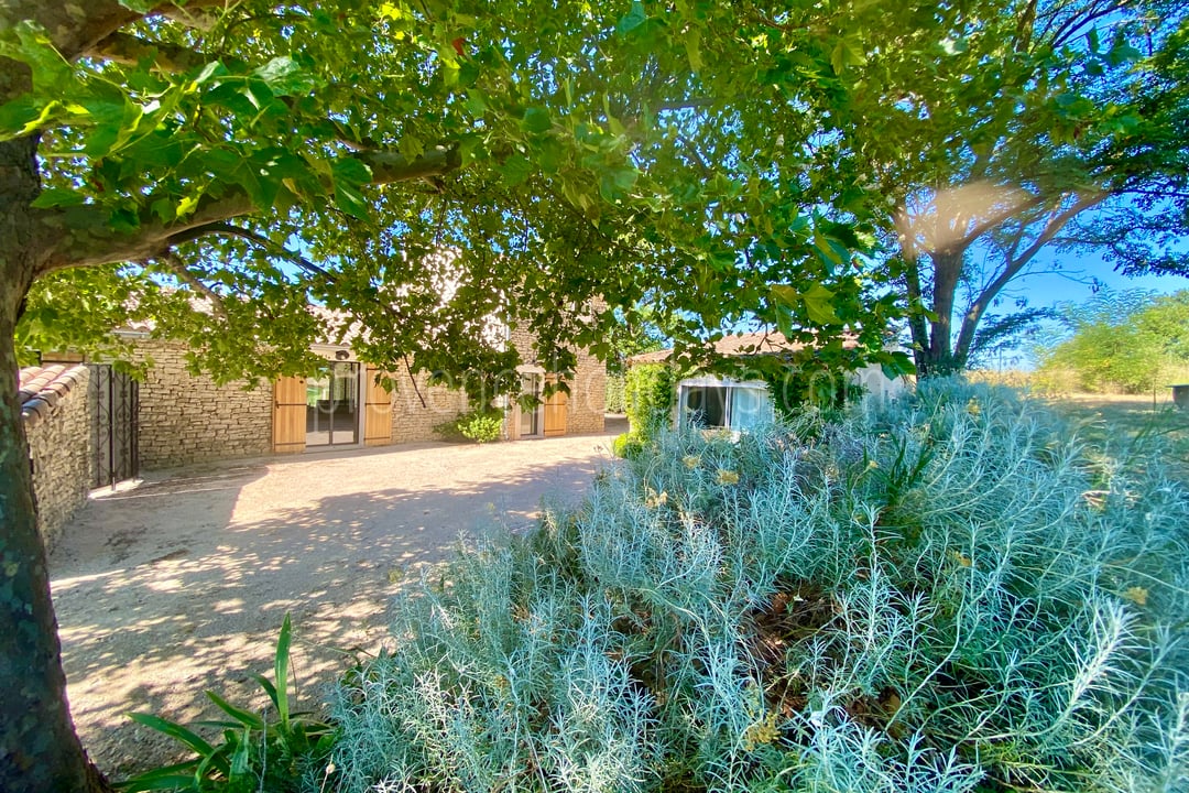 21 - Villa des Lices: Villa: Exterior