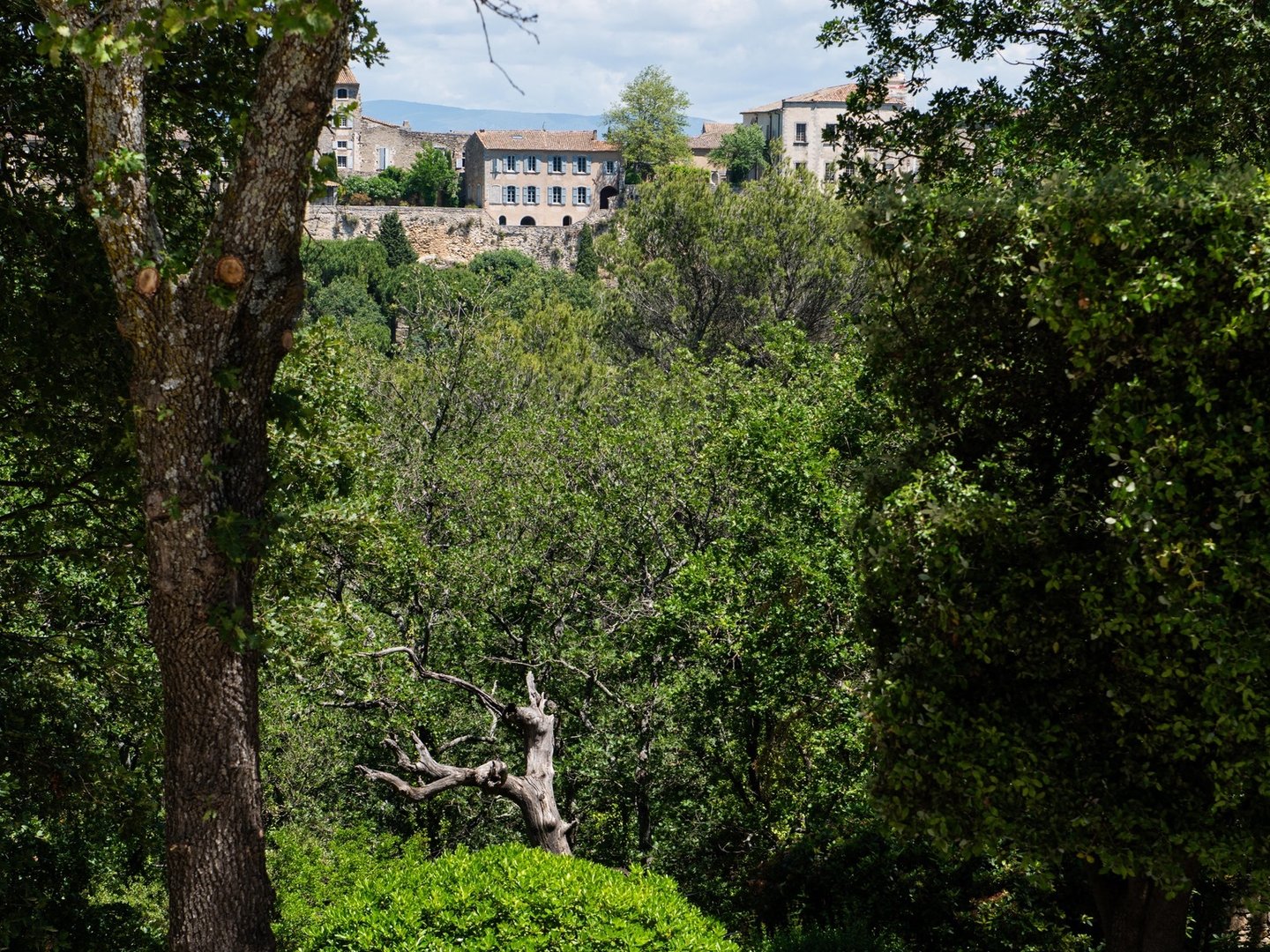 17 - Bastide Gergouven: Villa: Exterior