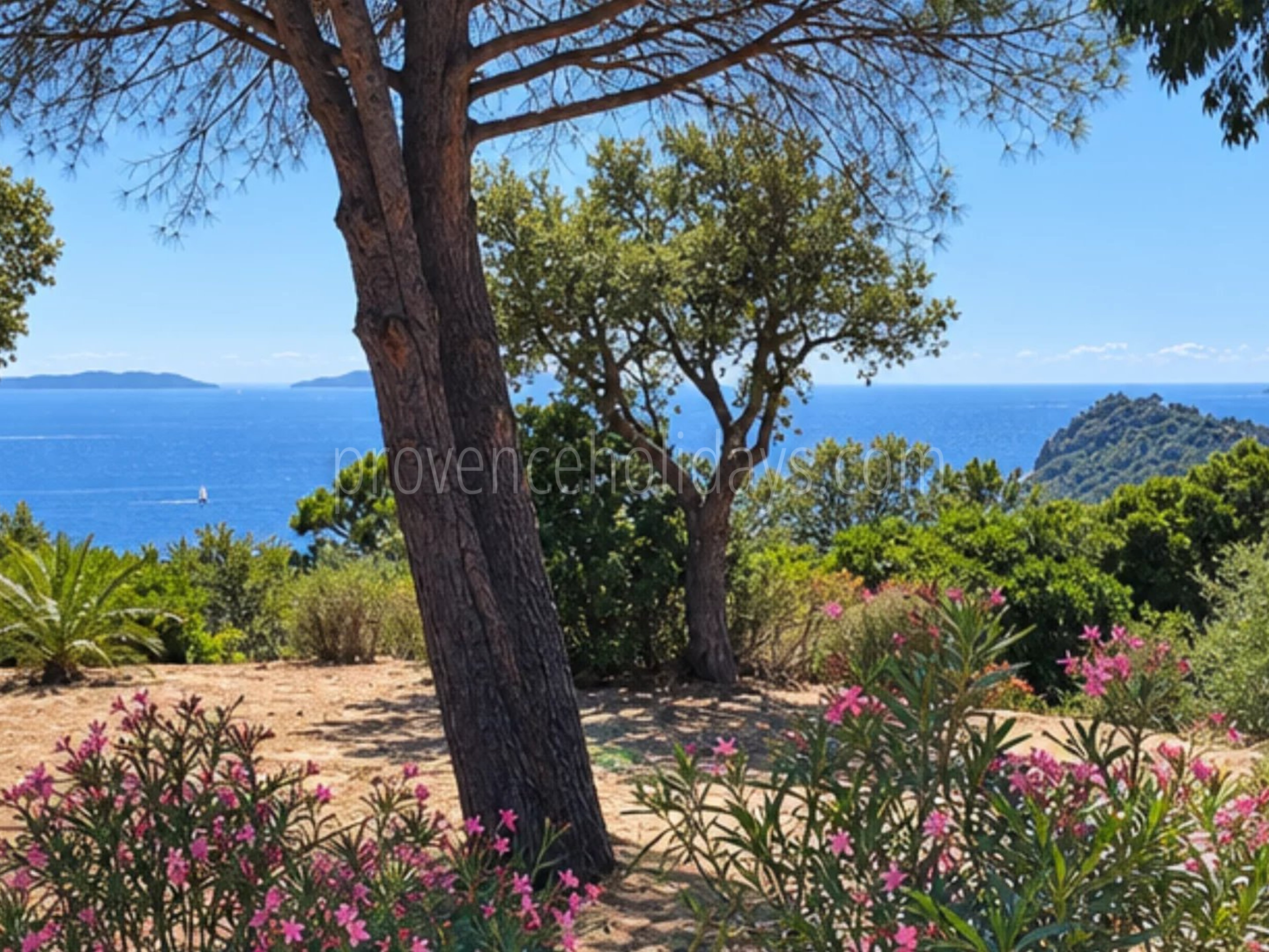 3 - Te renoveren villa in Rayol-Canadel-sur-Mer: Villa: Exterior