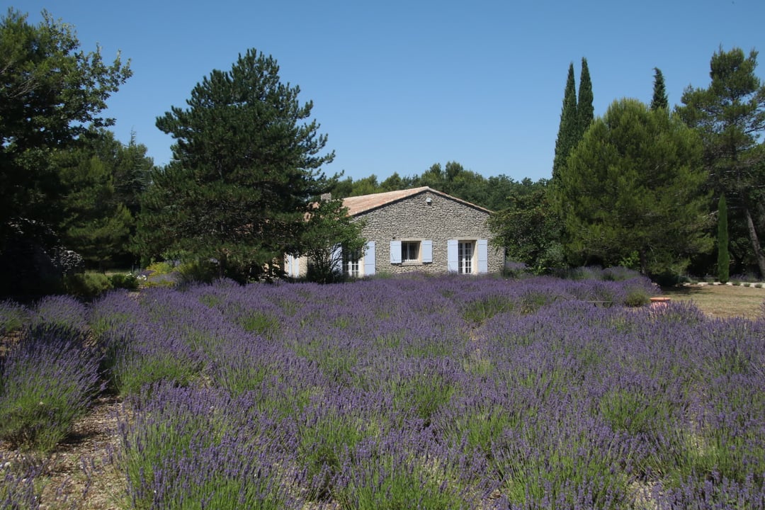 Location de vacances de charme avec piscine près de Lacoste Villa Lacoste - 7