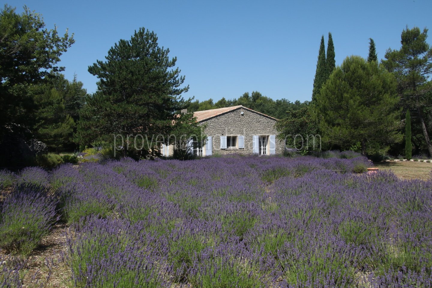 3 - Villa Lacoste: Villa: Exterior