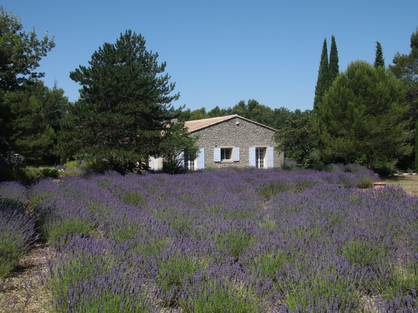 7 - Villa Lacoste: Villa: Exterior