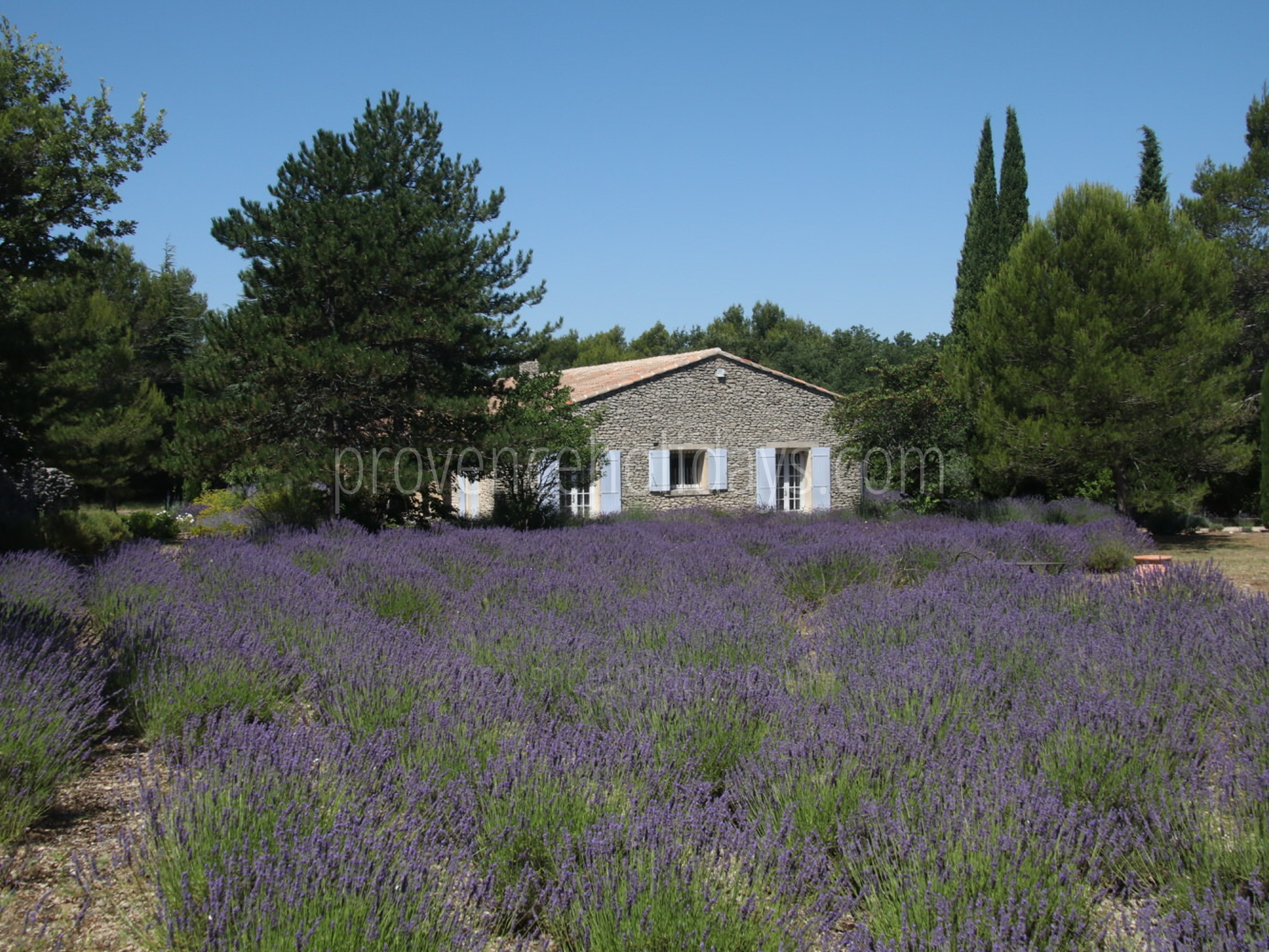 3 - Villa Lacoste: Villa: Exterior