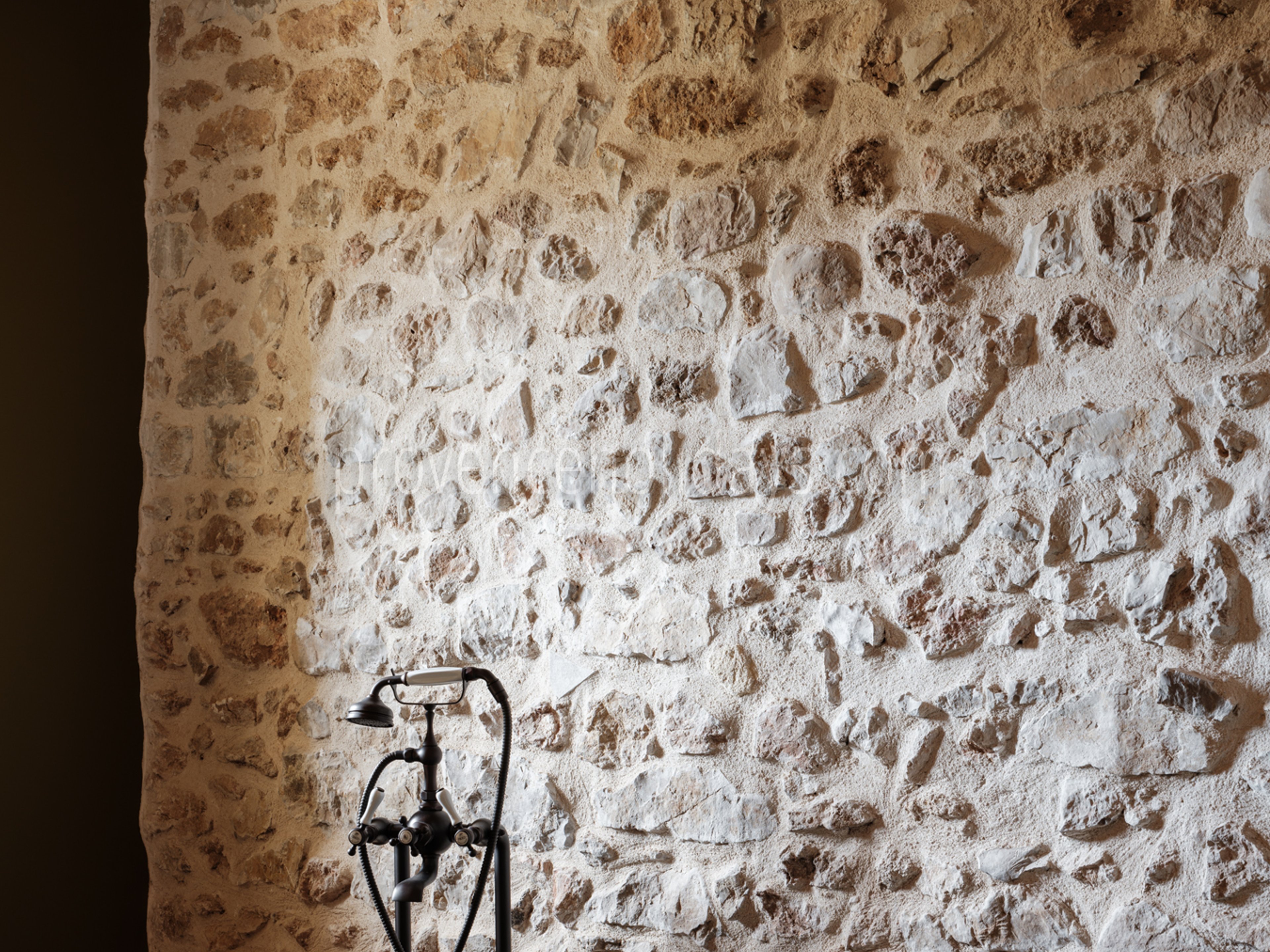 42 - Mas des Oliviers: Villa: Bathroom