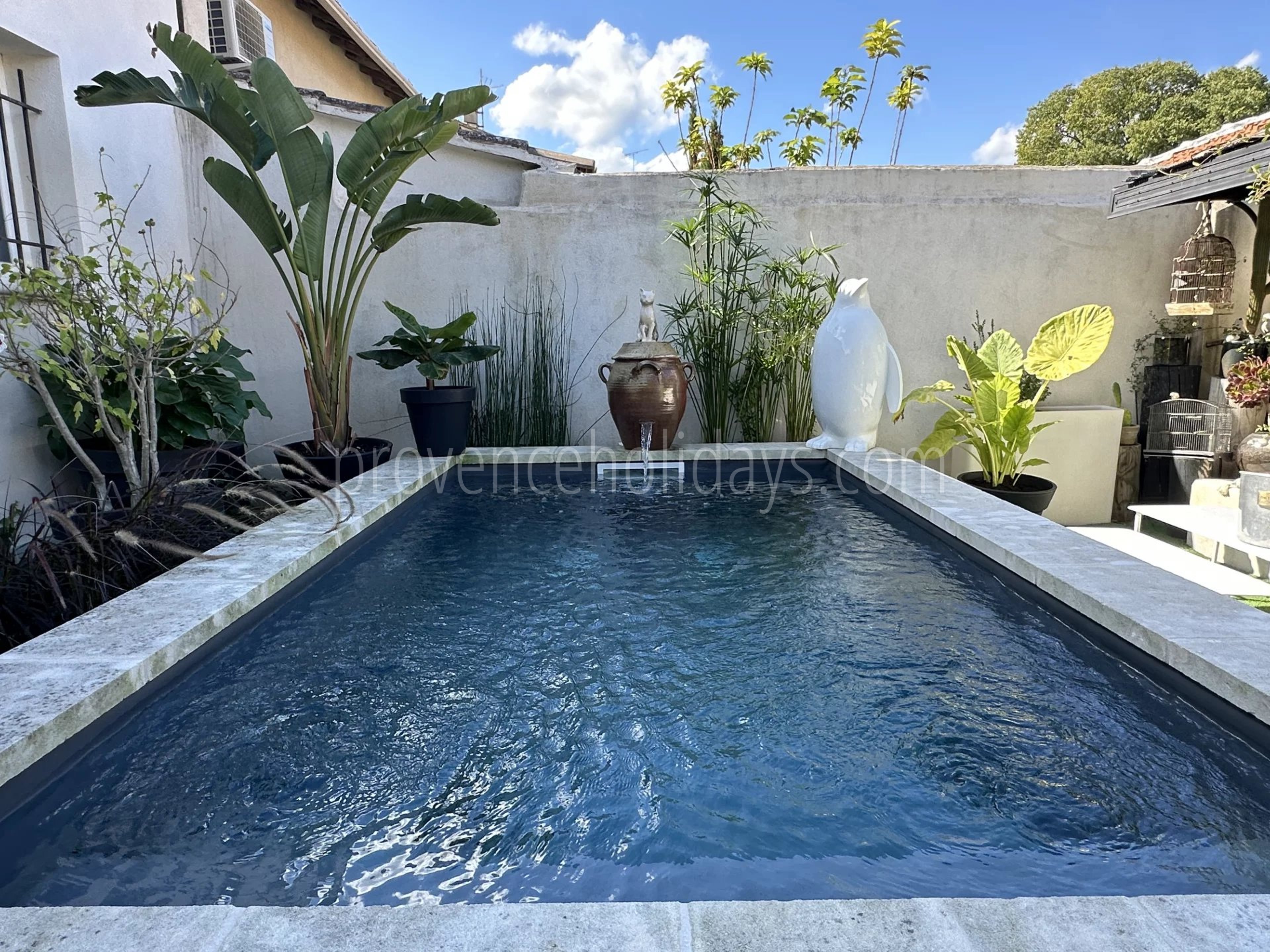 5 - Village house in Eygalières: Villa: Pool
