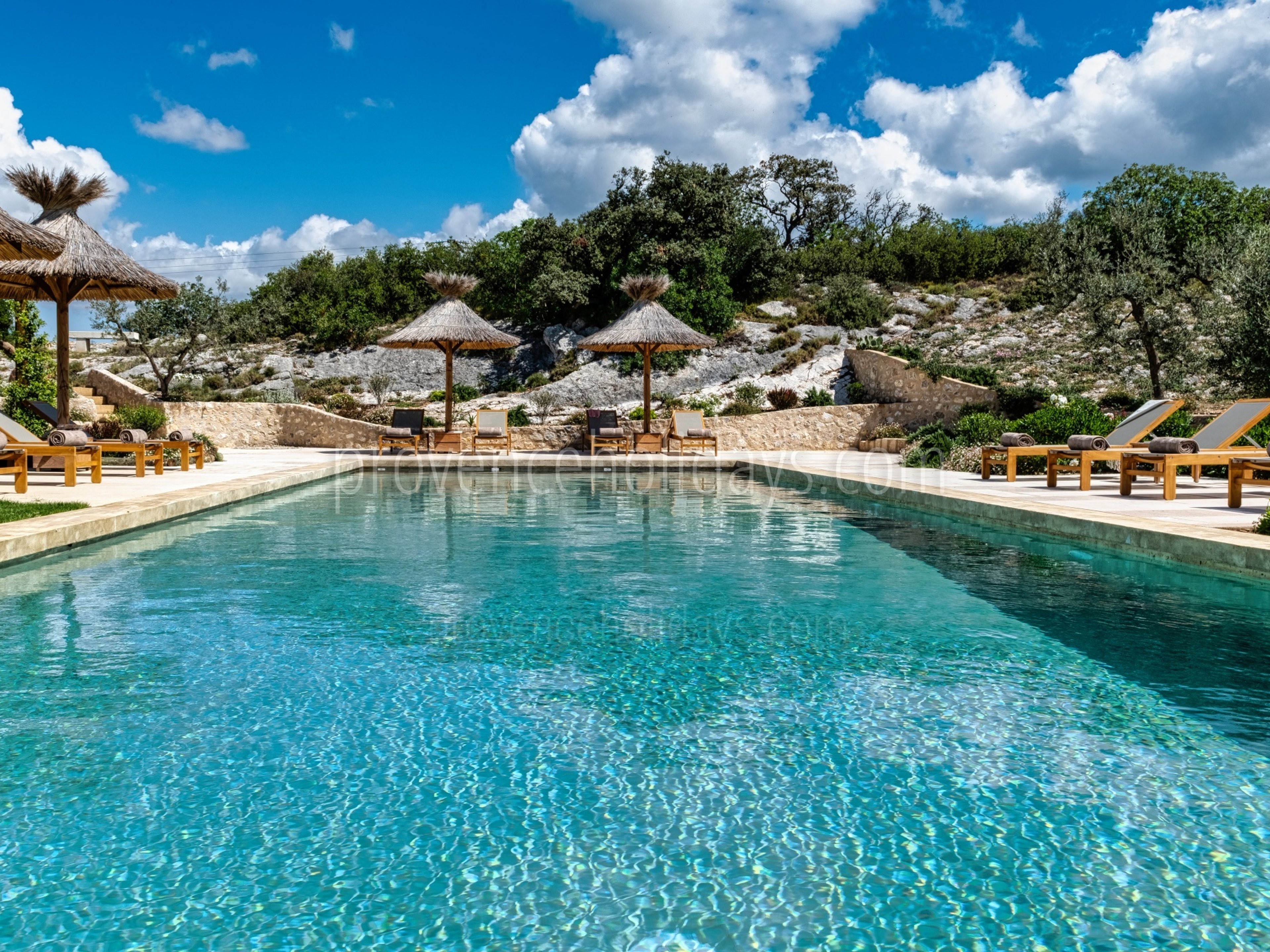 2 - Mas de Pierre: Villa: Pool