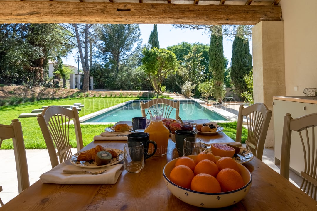 Farmhouse with Heated Swimming Pool in Fontvieille 7 - Mas Paolina: Villa: Exterior