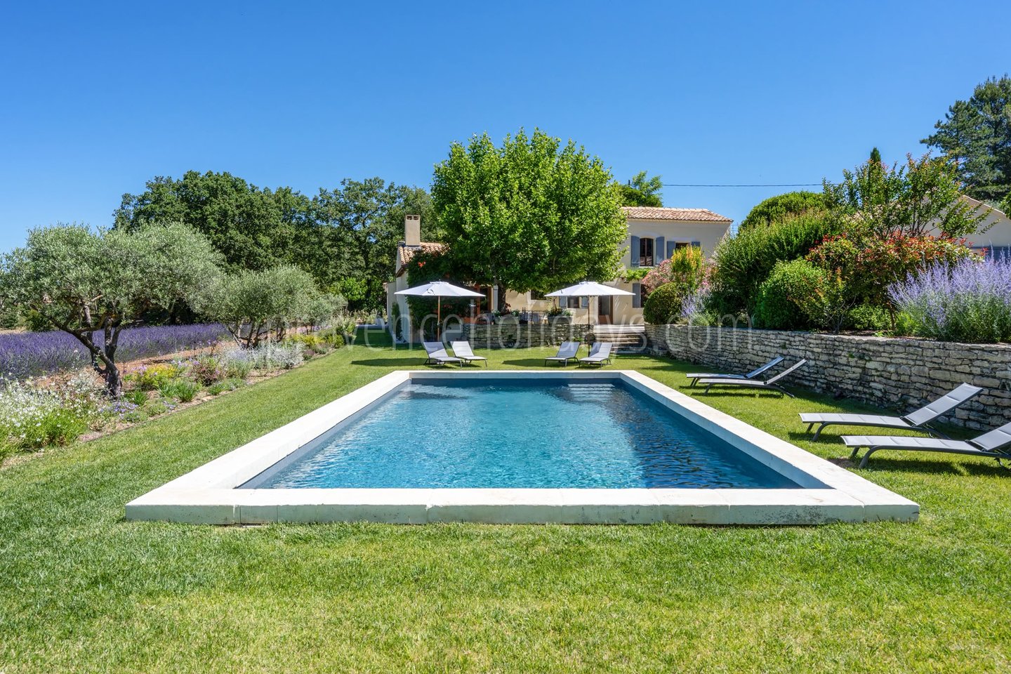 -3 - Mas Florence: Villa: Pool