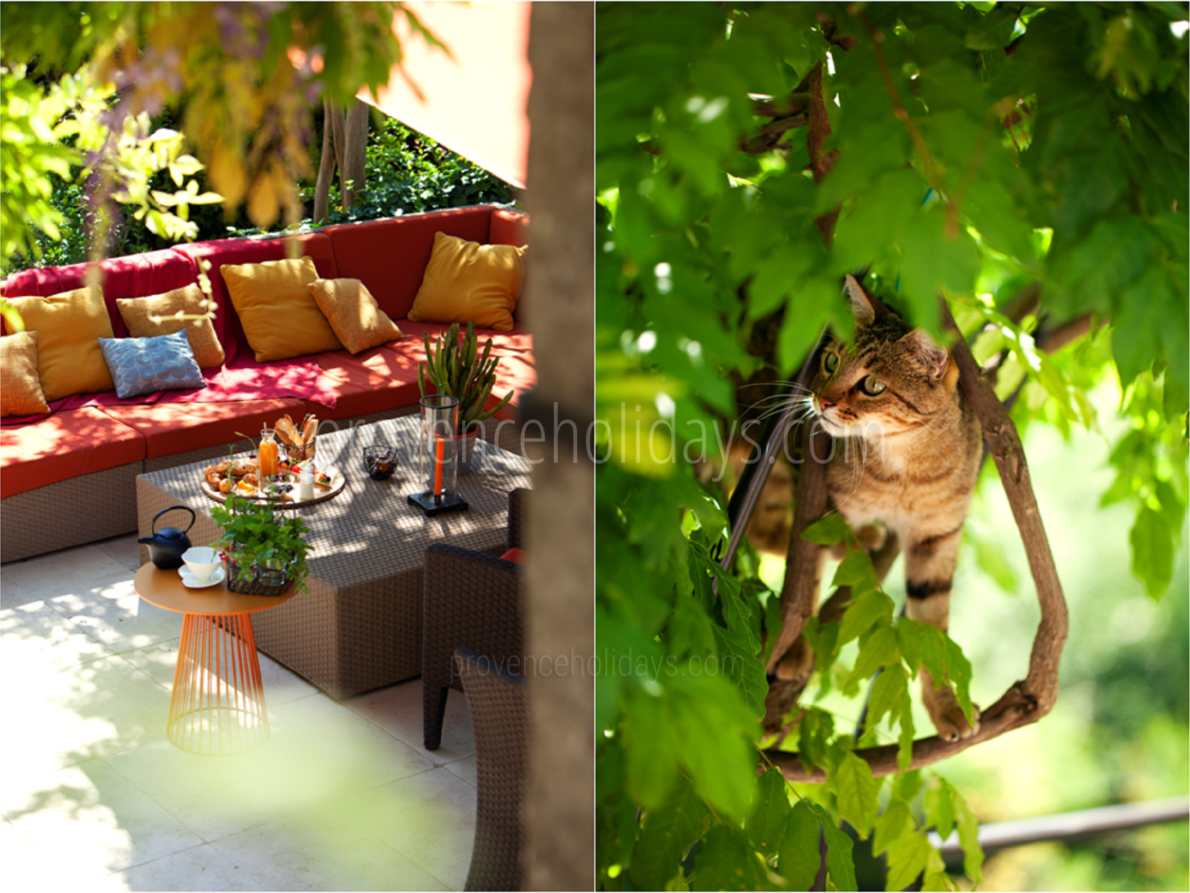 10 - Mas de l\'Artiste: Villa: Exterior