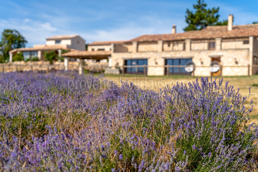 94 - Domaine Château du Bois: Villa: Exterior