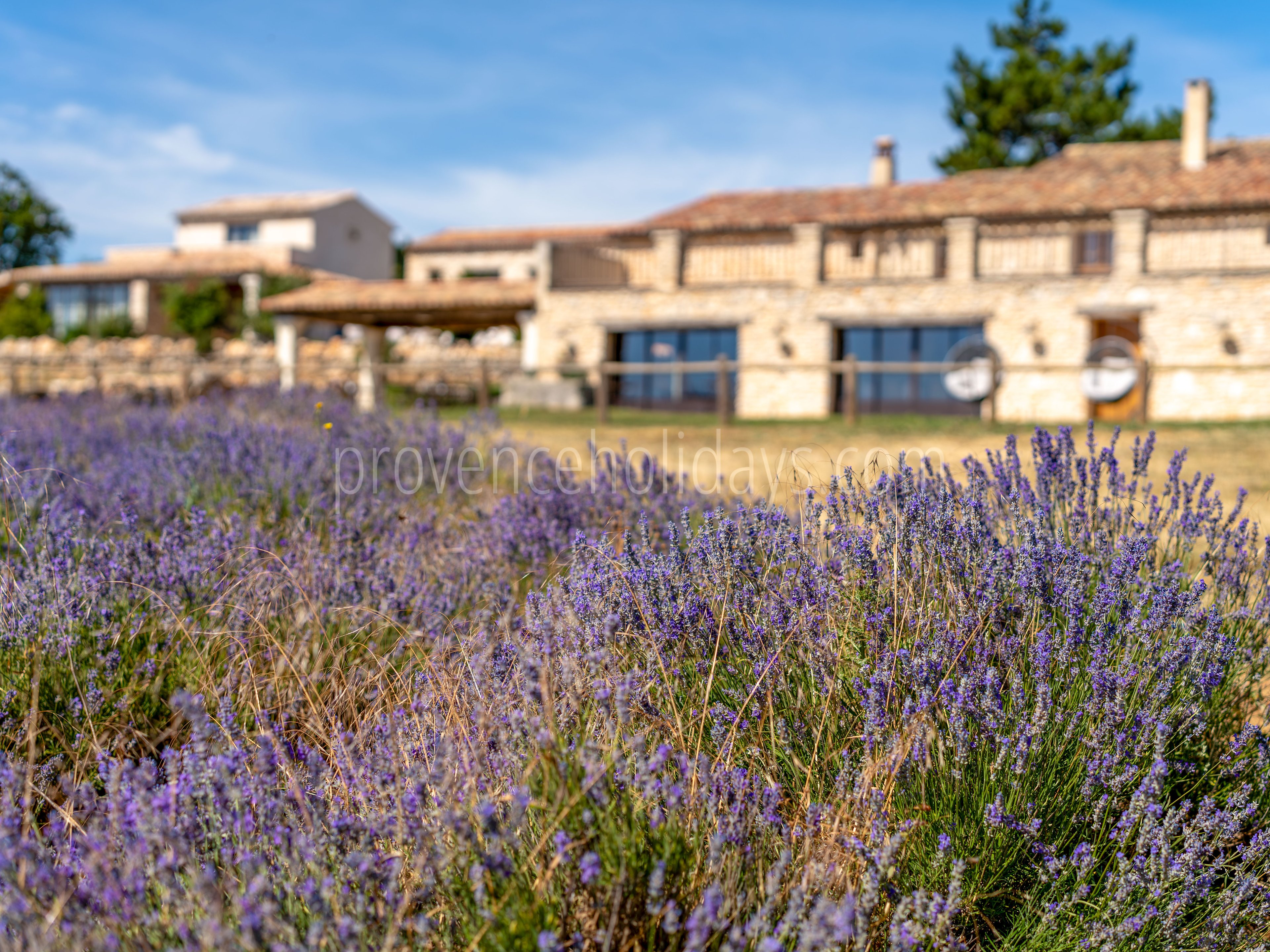 94 - Domaine Château du Bois: Villa: Exterior