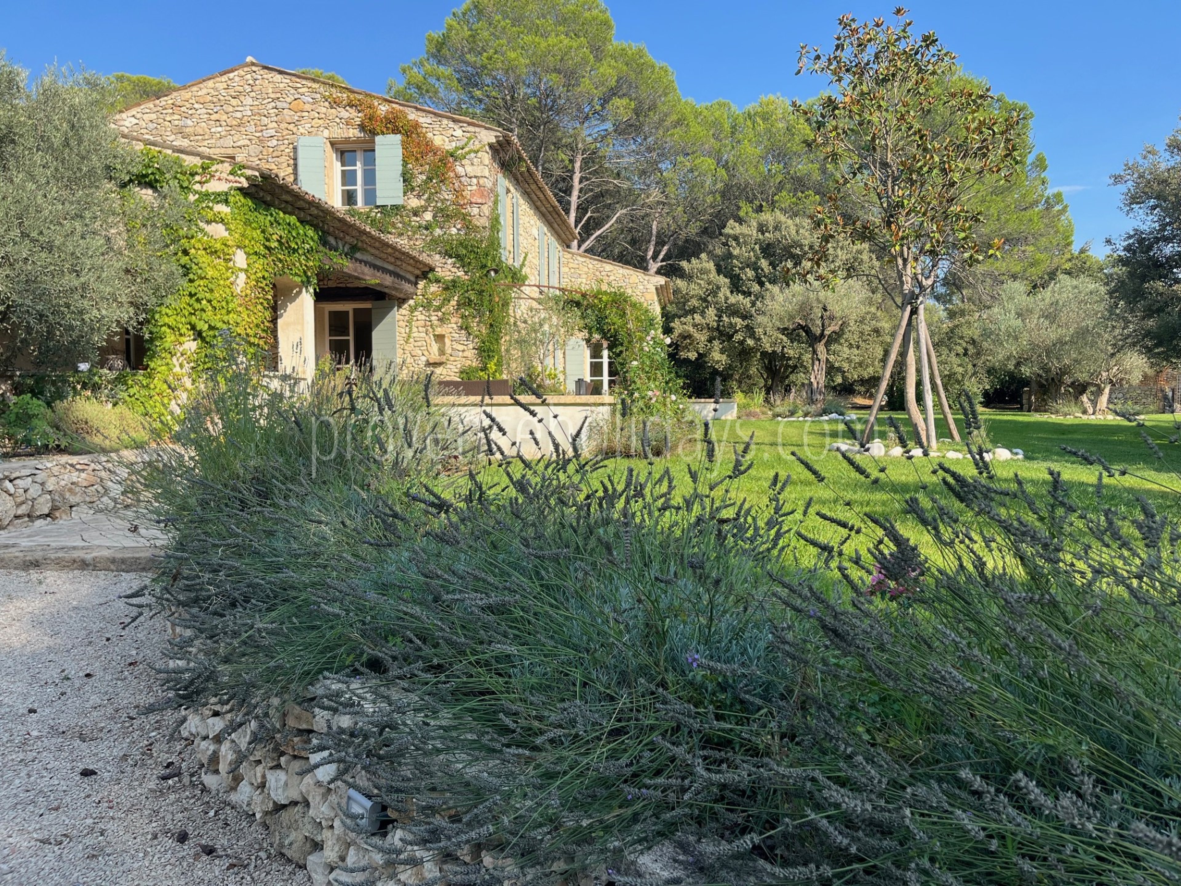 14 - Villa Sophie: Villa: Exterior
