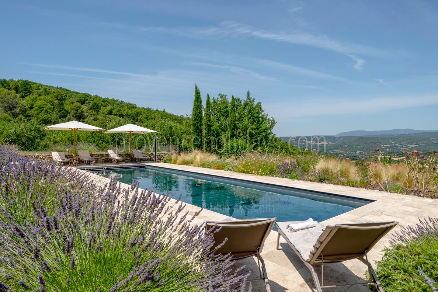 1 - Mas de Saint-Jean: Villa: Pool