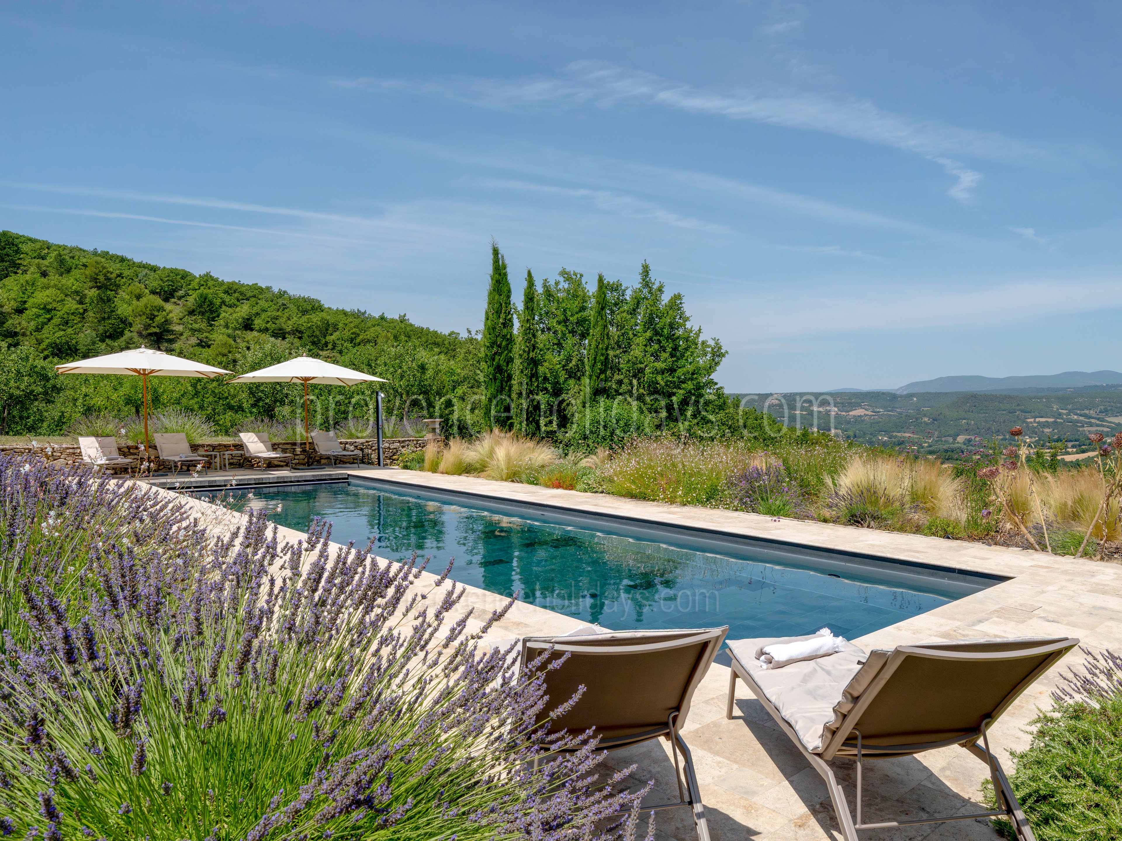 1 - Mas de Saint-Jean: Villa: Pool