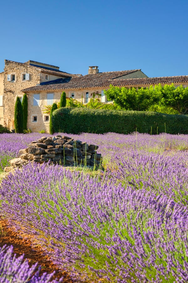 villa provence