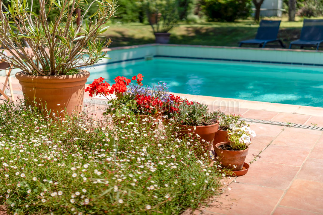 10 - L\' Atelier du Sud: Villa: Exterior
