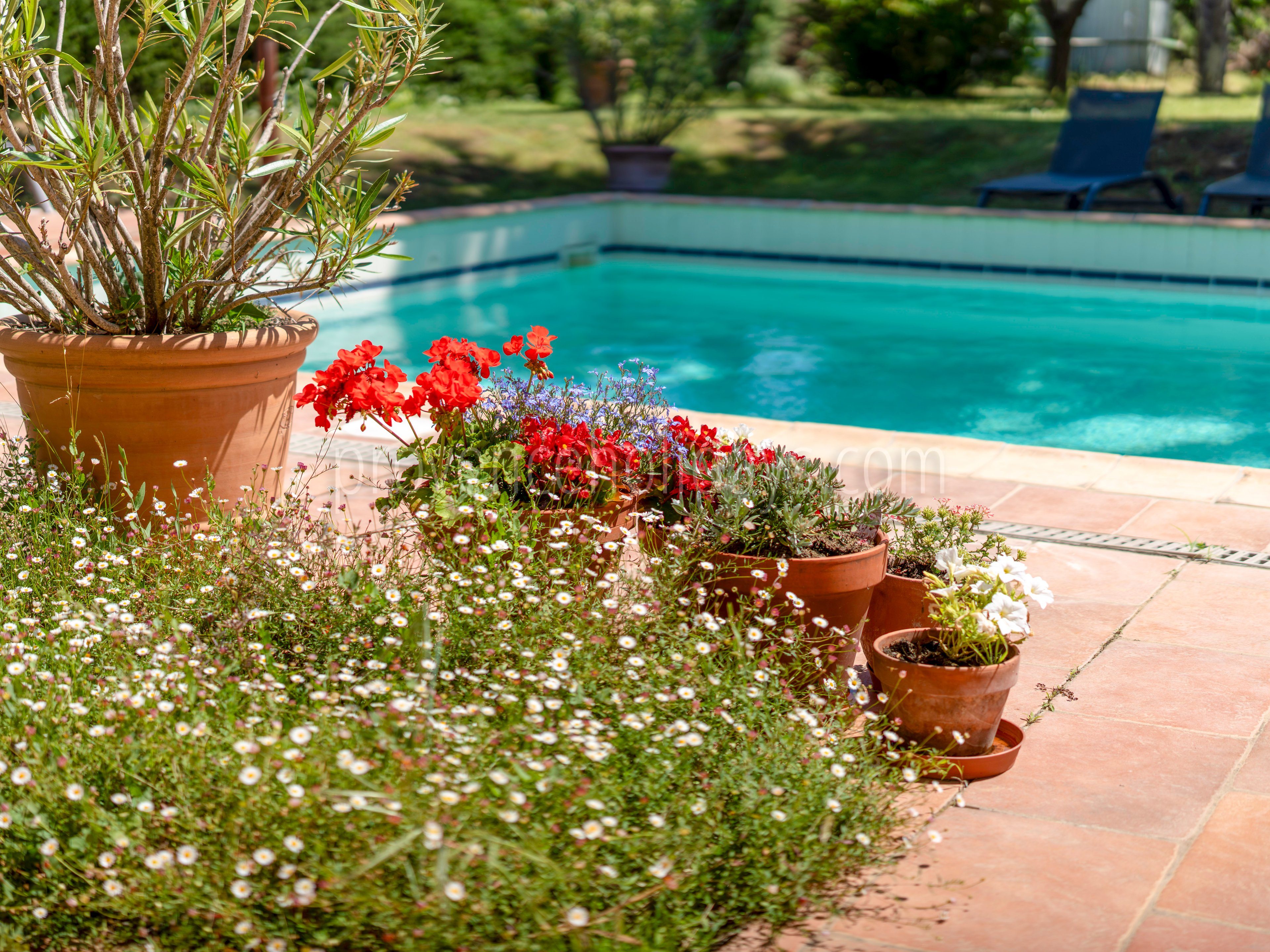 10 - L\' Atelier du Sud: Villa: Exterior