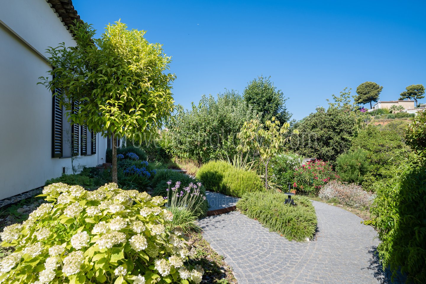 41 - Villa Blanche: Villa: Exterior