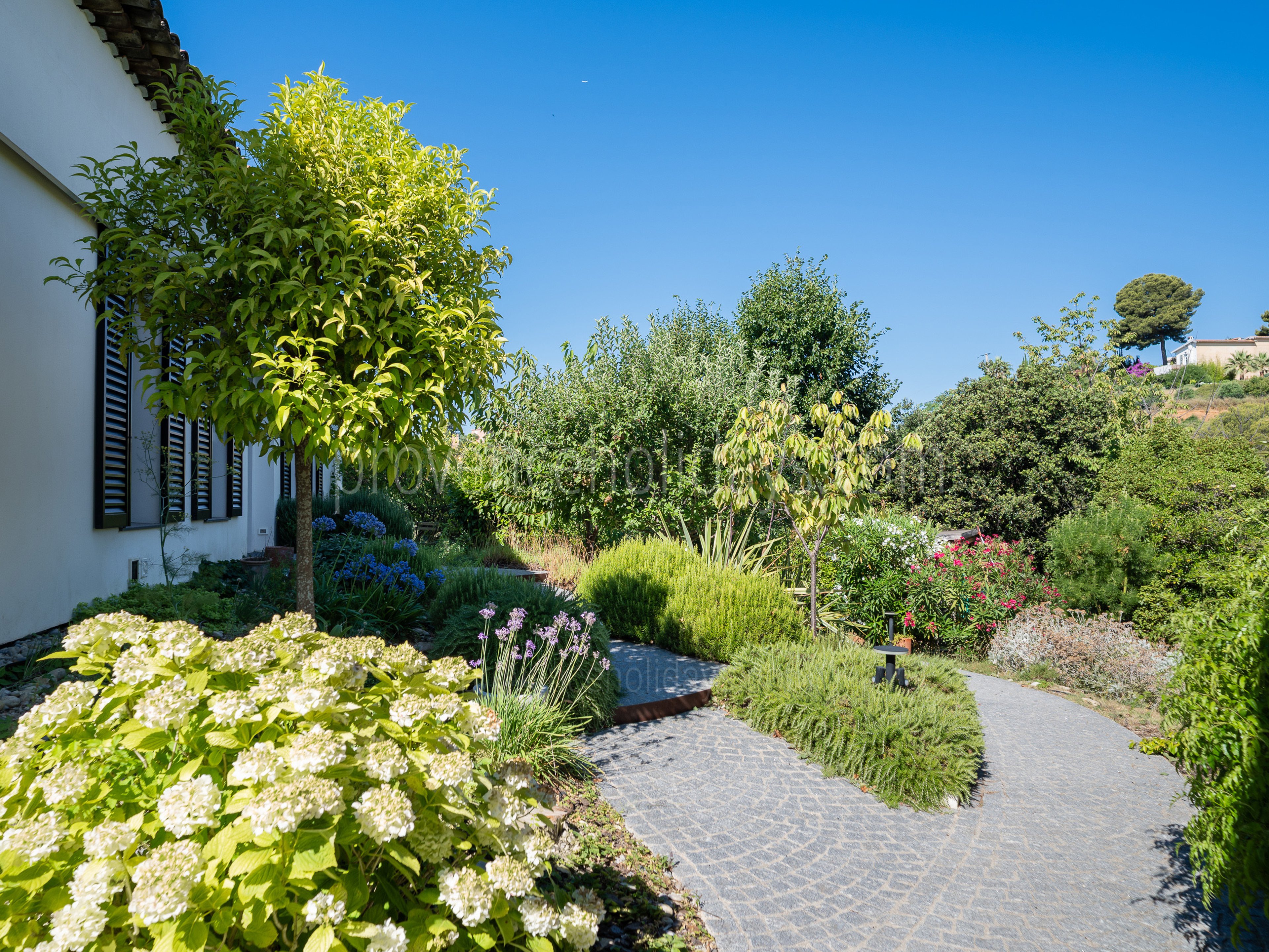 41 - Villa Blanche: Villa: Exterior