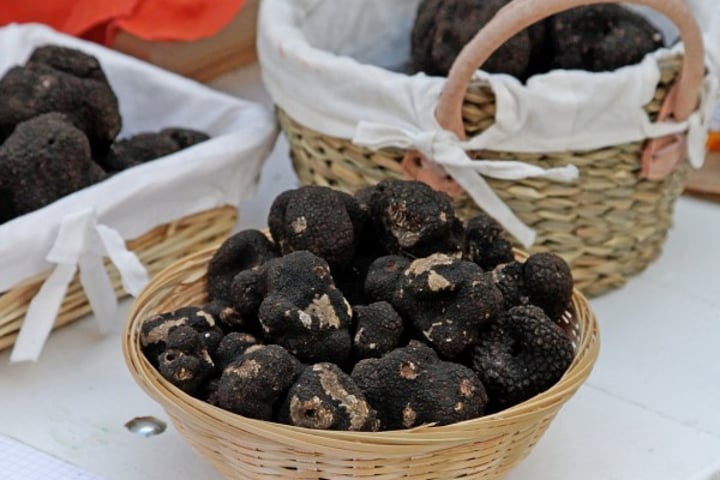 Valréas truffle market