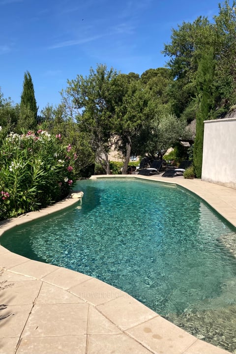 39 - Le Petit Paradis: Villa: Pool