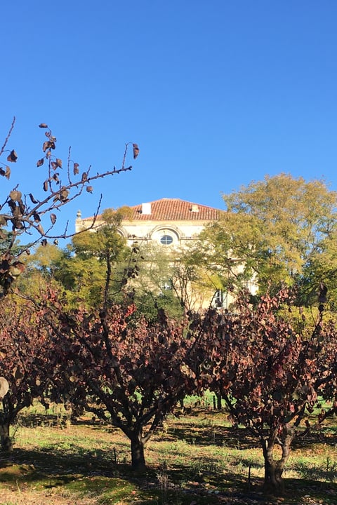 25 - Château de Nîmes: Villa: Exterior