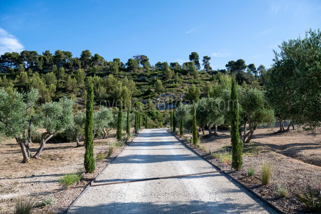 100 - Le Loup des Alpilles: Villa: Exterior
