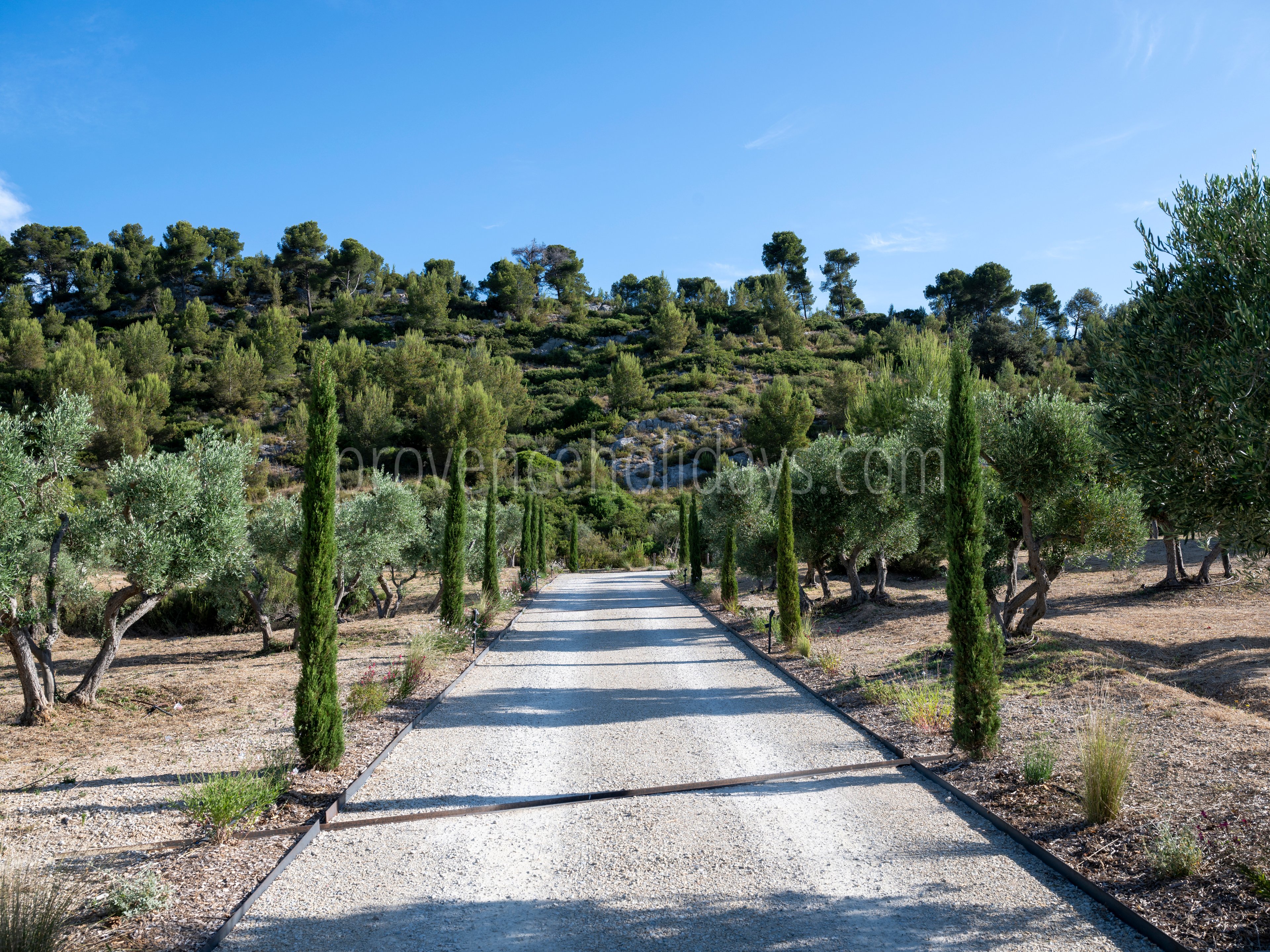 100 - Le Loup des Alpilles: Villa: Exterior
